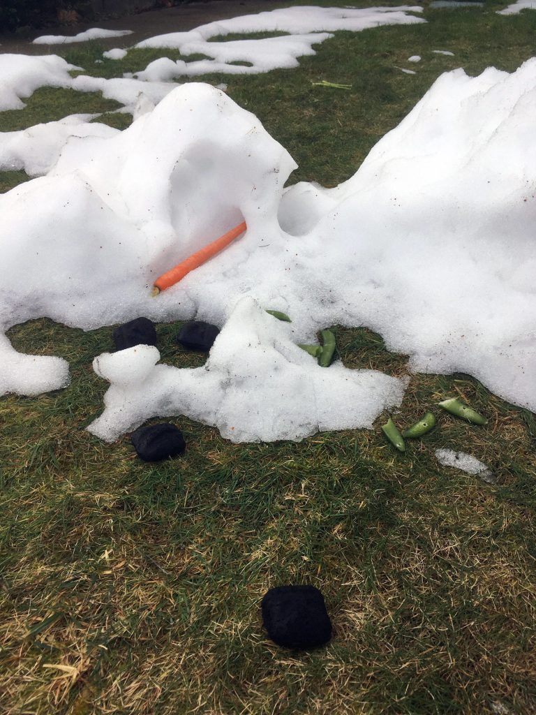 Briquette eyes. (Sue Misao / The Herald)