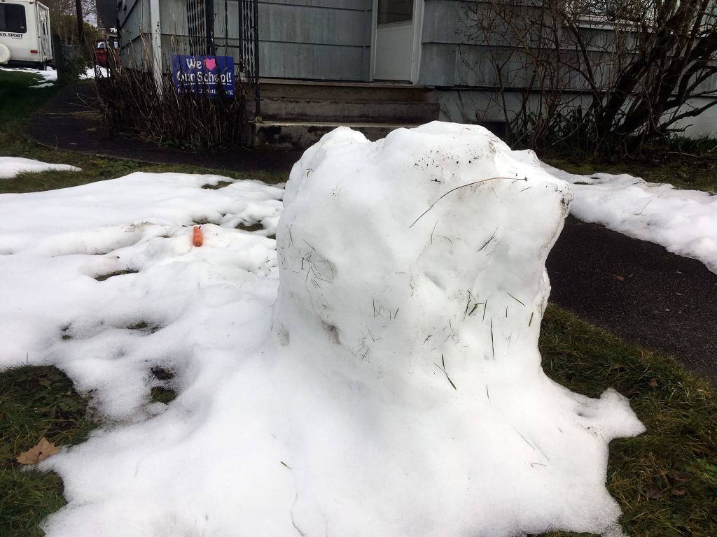 Runaway nose. (Sue Misao / The Herald)