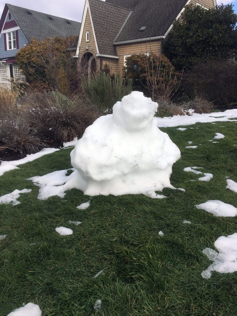 Not even a nose. (Sue Misao / The Herald)