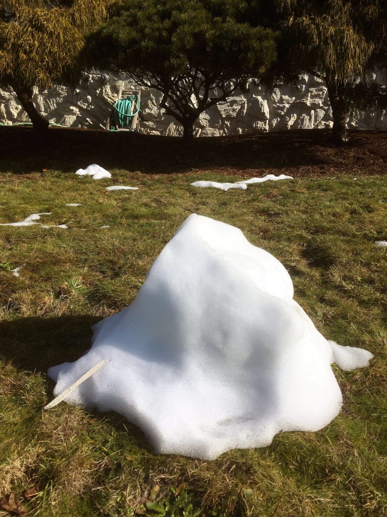 Plastic knife? (Sue Misao / The Herald)