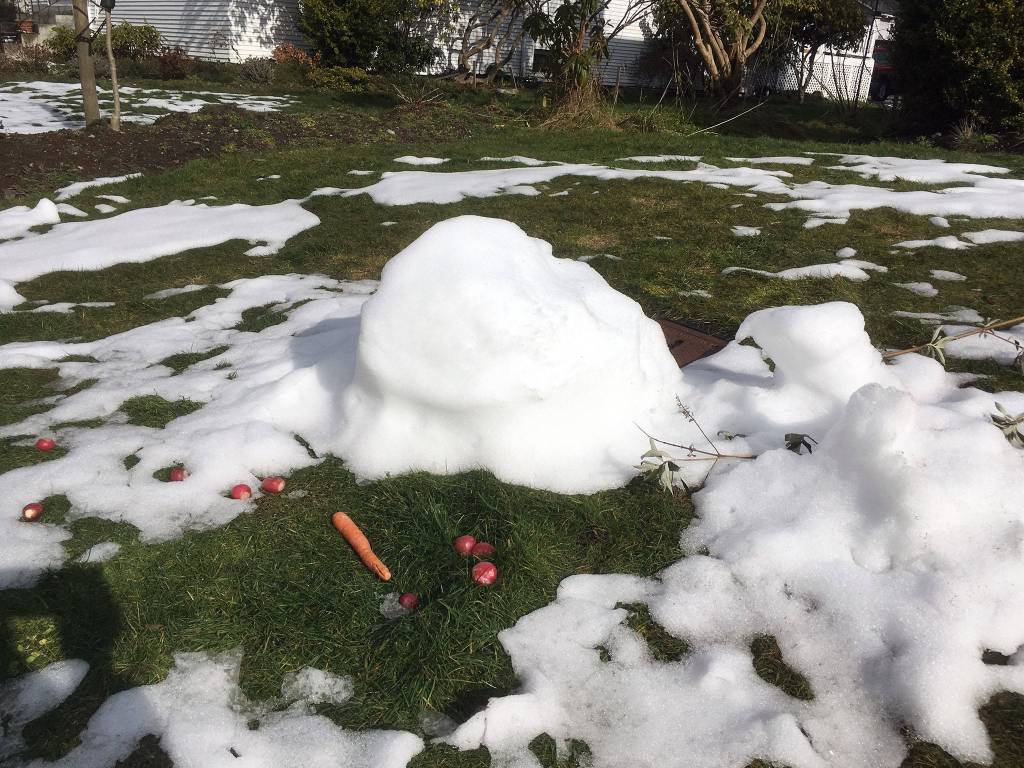 Radishes. (Sue Misao / The Herald)