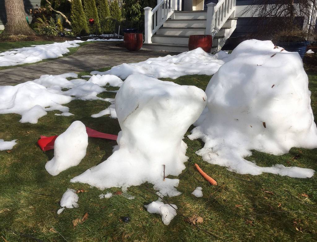 Were there two? (Sue Misao / The Herald)