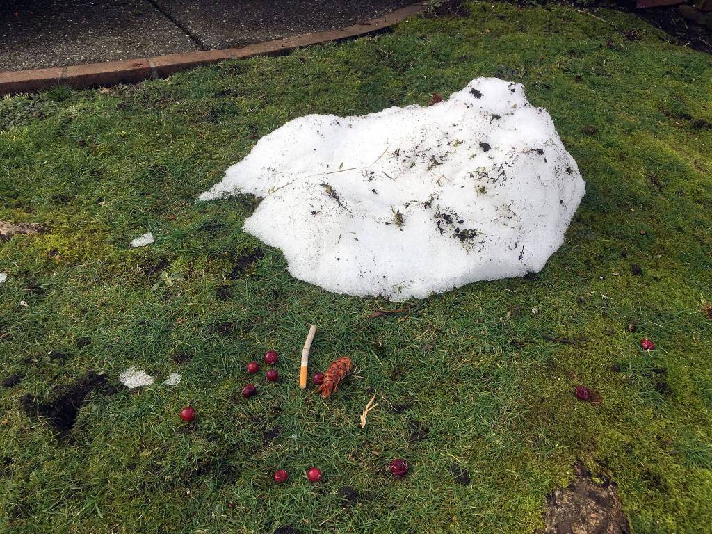 Smoking kills. (Sue Misao / The Herald)