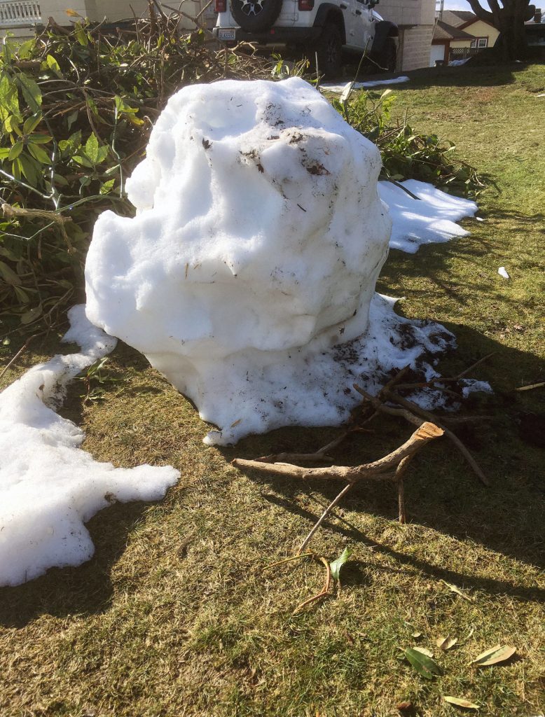 This one had unpleasant arms. (Sue Misao / The Herald)