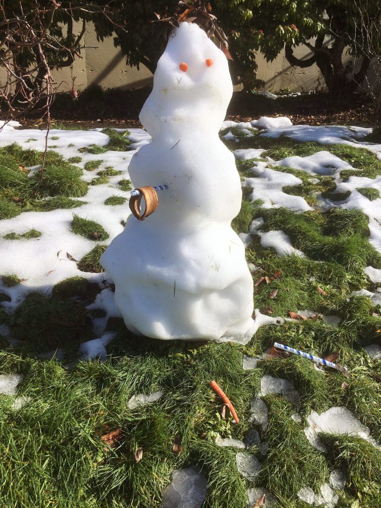 This ones a real trooper. (Sue Misao / The Herald)