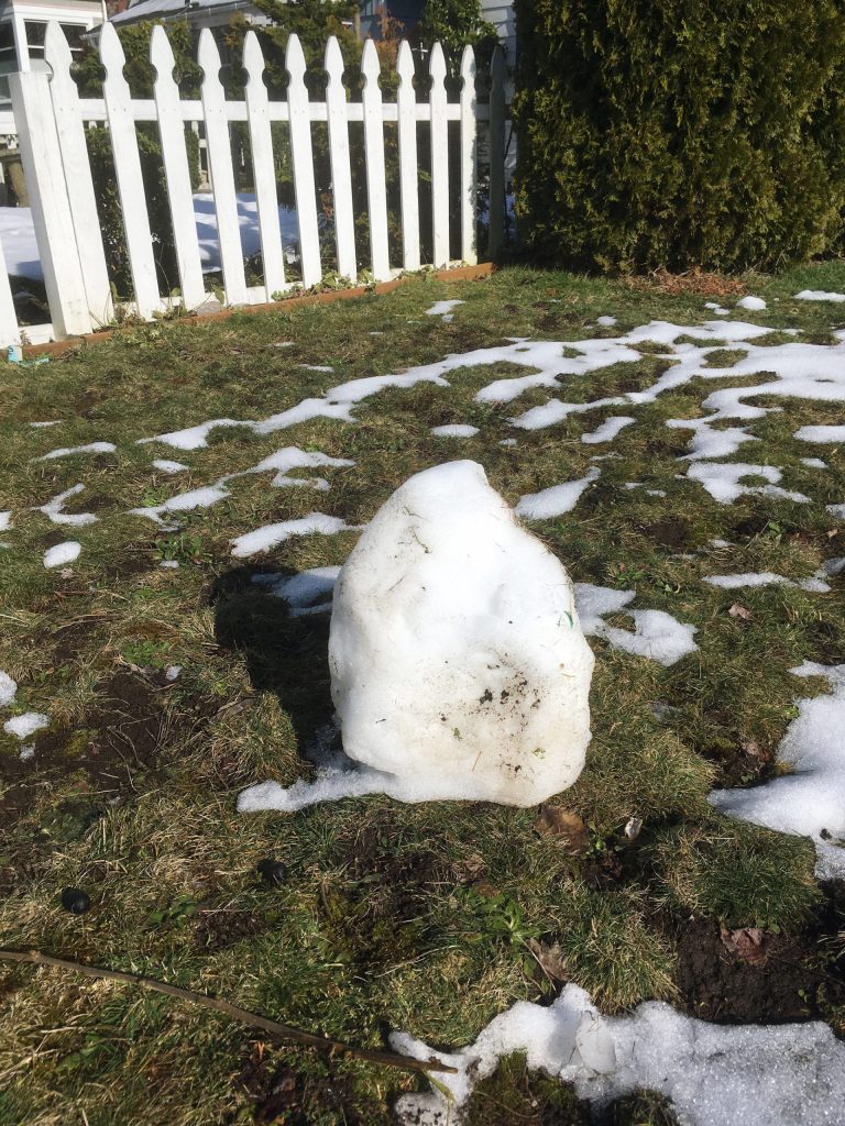 Snowbaby. (Sue Misao / The Herald)