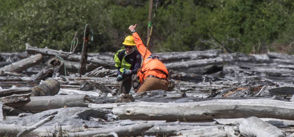 After securing a rope to a log, a Department of Natural Resources crew member gives a thumbs up to a helicopter as they remove creosote-soaked logs from Elger Bay on Camano Island. (Andy Bronson / The Herald)