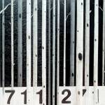 Barcode 62 by Scott Filipiak is on display in the Northwest Enterprise exhibition.