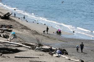 A sunny day attracts a crowd to the beach at Howarth Park in Everett. (Lizz Giordiano / Herald file)