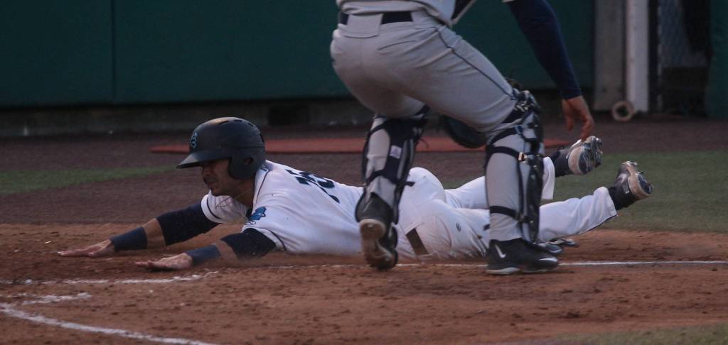 The AquaSoxs David Frick slides across home plate for a run during a game against the Dust Devils on May 11, 2021, at Funko Field in Everett. (Andy Bronson / The Herald)