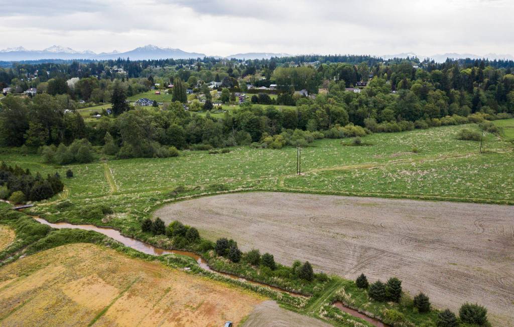 Ben Krause donated land to the Snohomish Conservation District for salmon habitat and drainage improvements near Snohomish. (Olivia Vanni / The Herald)
