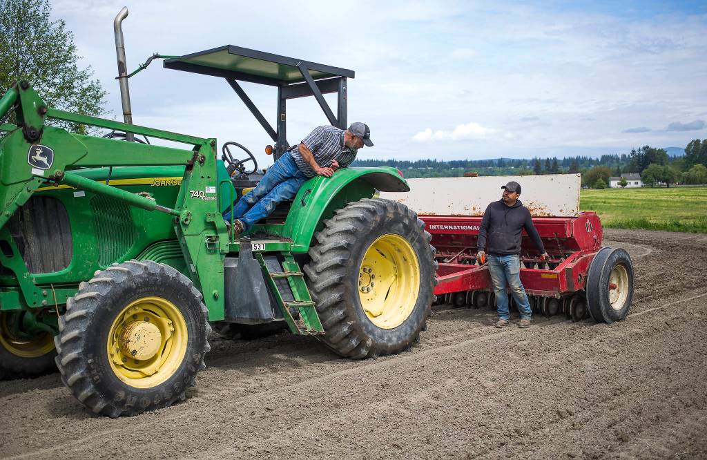 After making one row, Spencer Fuentes (left) looks back as he and Juan Martinez line up a grain drill before starting a second row while planting black beans May 12, 2021 in Arlington. (Andy Bronson / The Herald)
