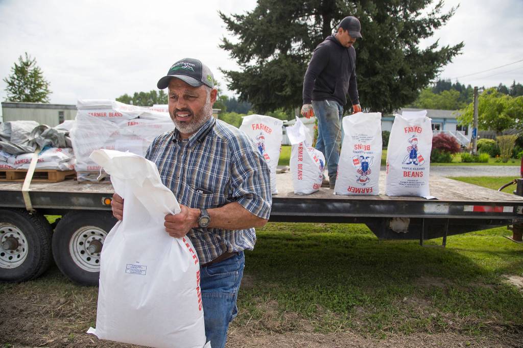 Spencer Fuentes and Juan Martinez pull bags of black bean seeds off a pallet May 12 in Arlington. Fuentes grows the beans for the company called Farmer Beans & Seed. (Andy Bronson / The Herald)