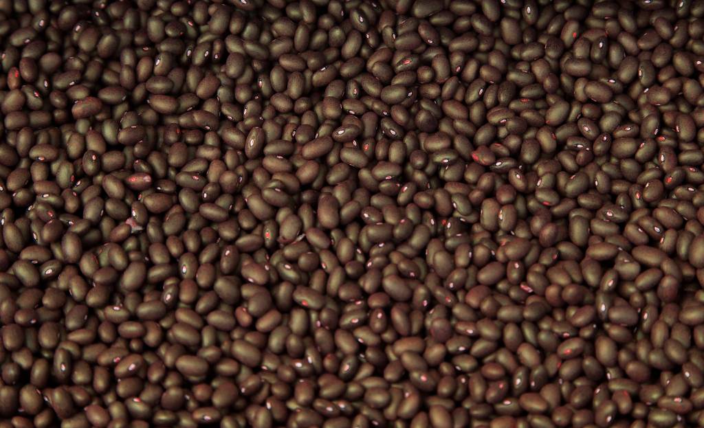 Black beans seeds in Arlington. (Andy Bronson / The Herald)