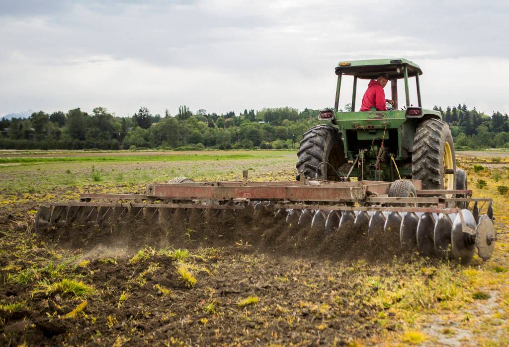 Ben Krause disks soil on Swans Trail Farms near Snohomish. (Olivia Vanni / The Herald)