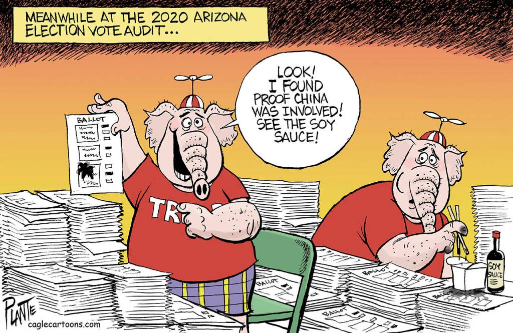 Arizona re-re-recount, election 2020, vote, audit, loser, Ex-president Donald J. Trump, China, bamboo, Republican Party, GOP, RNC, morons, The Big Lie, 1/9, 2021