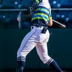 AquaSoxs Julio Rodriguez is hit with a pitch during the game against the Dust Devils on Sunday, May 16, 2021 in Everett, Wash.