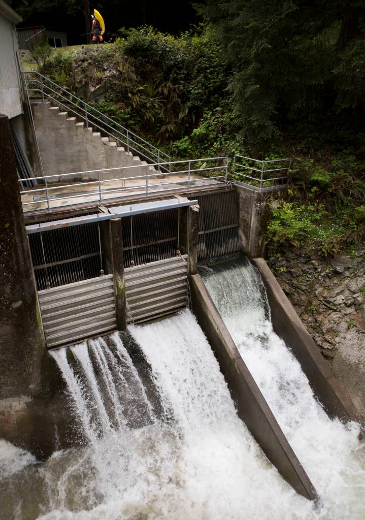 A kayaker walks around a diversion dam along the Sultan River to continue downstream. (Olivia Vanni / The Herald)