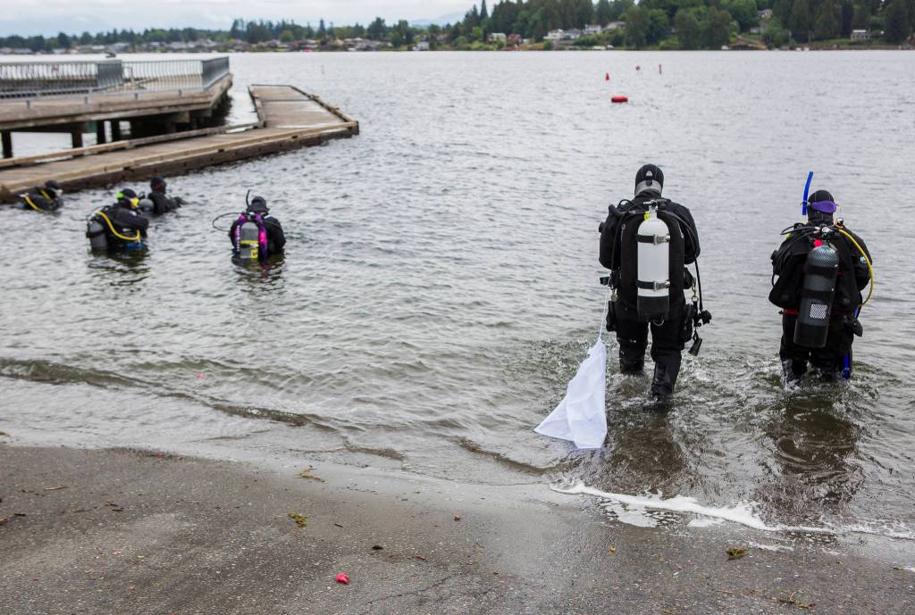 Volunteer divers make their way into the water with bags to help collect trash and debris May 23 in Lake Stevens. (Olivia Vanni / The Herald)