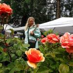 Ian Terry / The Herald People look at roses at the Sorticulture Festival in Everett on Friday, June 9, 2017. Photo taken on 06092017