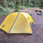 When tenting in the backcountry, look for established sites and dont clear vegetation. (Jessi Loerch)