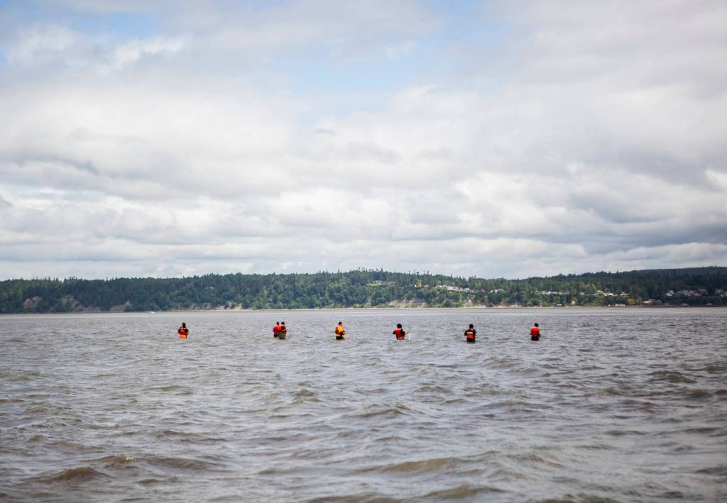 Volunteers spread out 10 feet apart and make their way along the sandbar during their search for Charlie Cortez on May 28 in Possession Sound. (Olivia Vanni / The Herald)