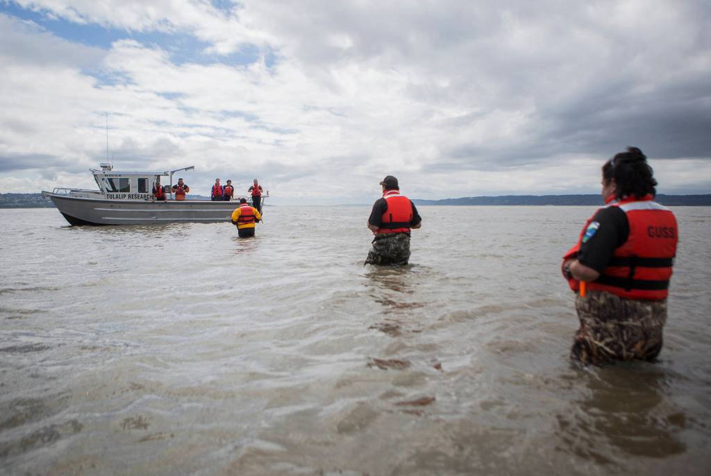 Volunteers make their way back to the boat after their search on May 28 in Possession Sound. (Olivia Vanni / The Herald)