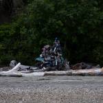 A stump on Hat Island displays items that have washed up on shore in Possession Sound. Volunteers check the stump regularly for Cortezs boots and other items. (Olivia Vanni / The Herald)