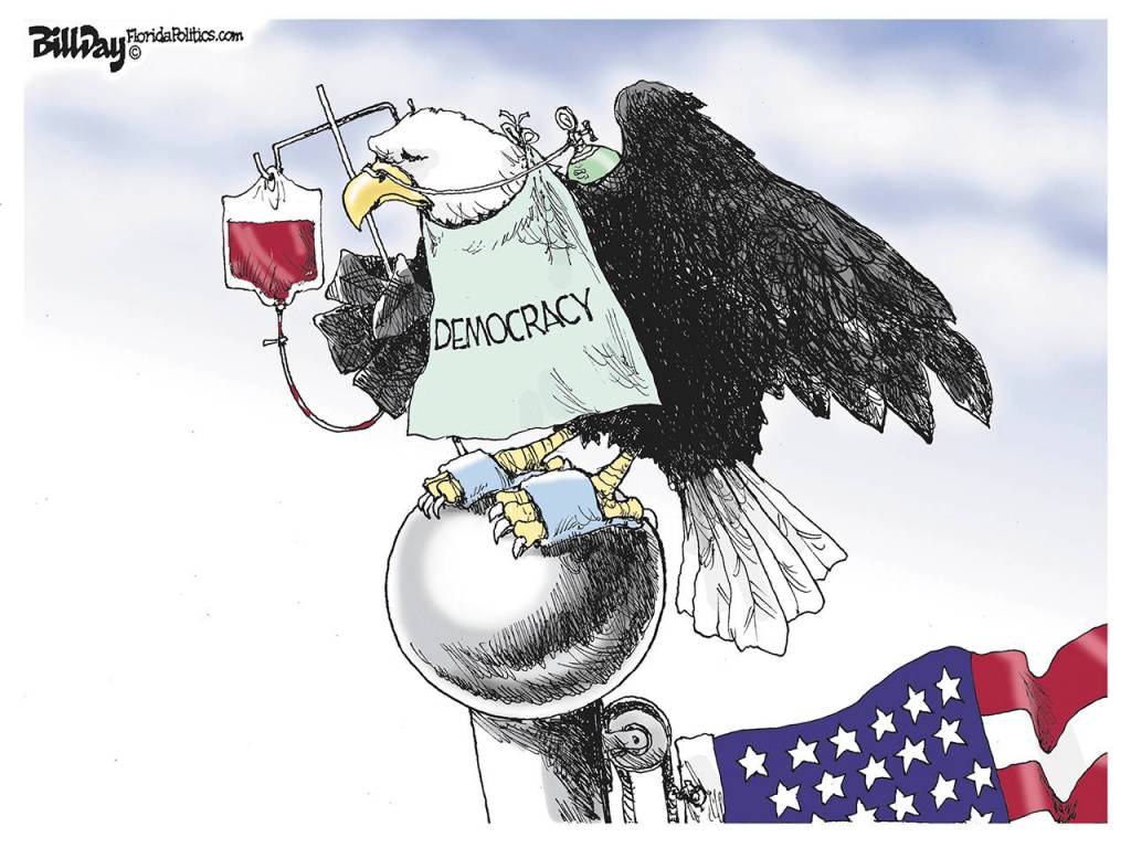 toon