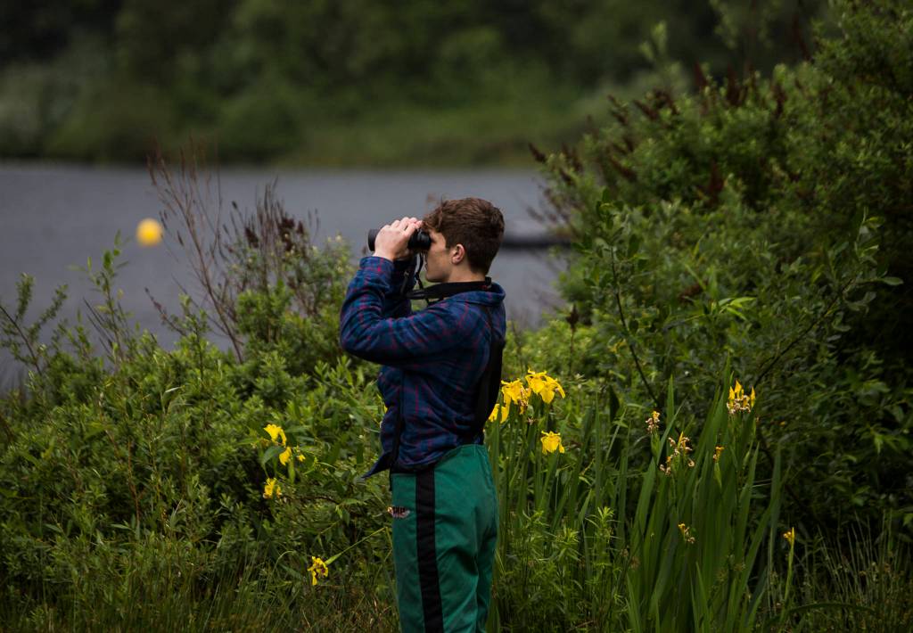 A spectator watches with binoculars as the hydroplanes make their first turn around the course during the Silver Lake Regatta on Saturday, June 5, 2021 in Everett, Wash. (Olivia Vanni / The Herald)