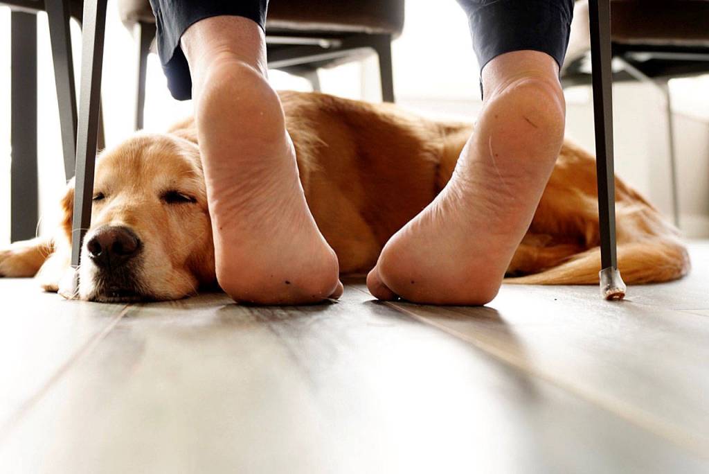 Bill Callens photo won the Beside prompt in last years Photomarathon.