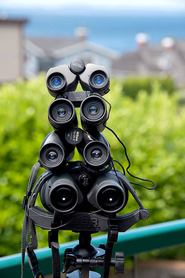 Chris Flecks photo won for the 2020 Edmonds Rotary Photomarathons Look theme.
