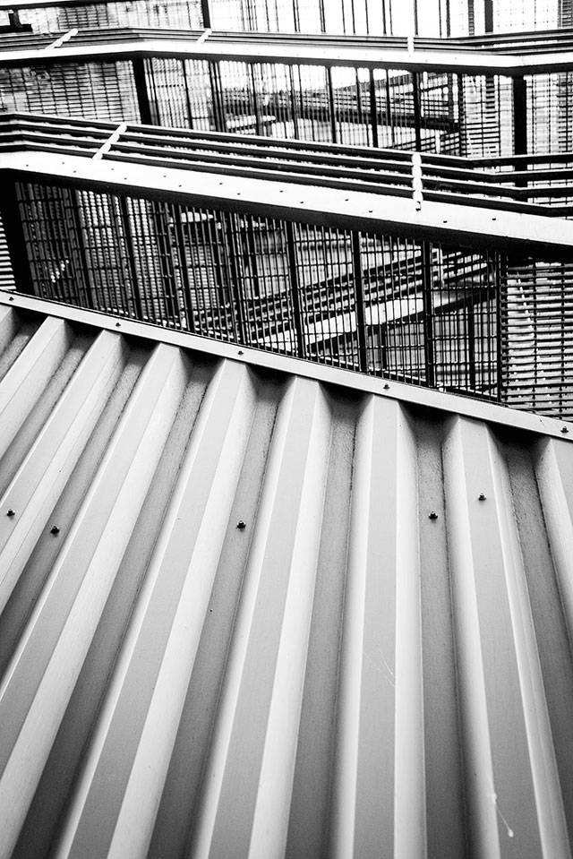 The winner of last years Pattern photo prompt was Diana Scheel.