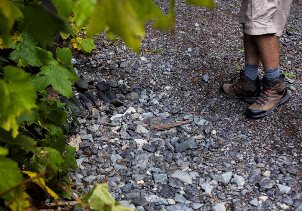 A drainage pipe is exposed due to washout along an access road connected to the Monte Cristo trail in October 2020. (Olivia Vanni / Herald file)
