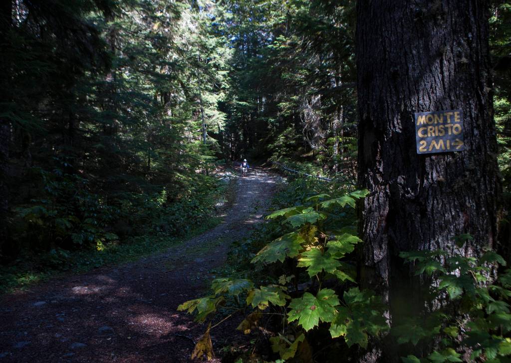 The Monte Cristo trail connects to an access road. (Olivia Vanni / Herald file)