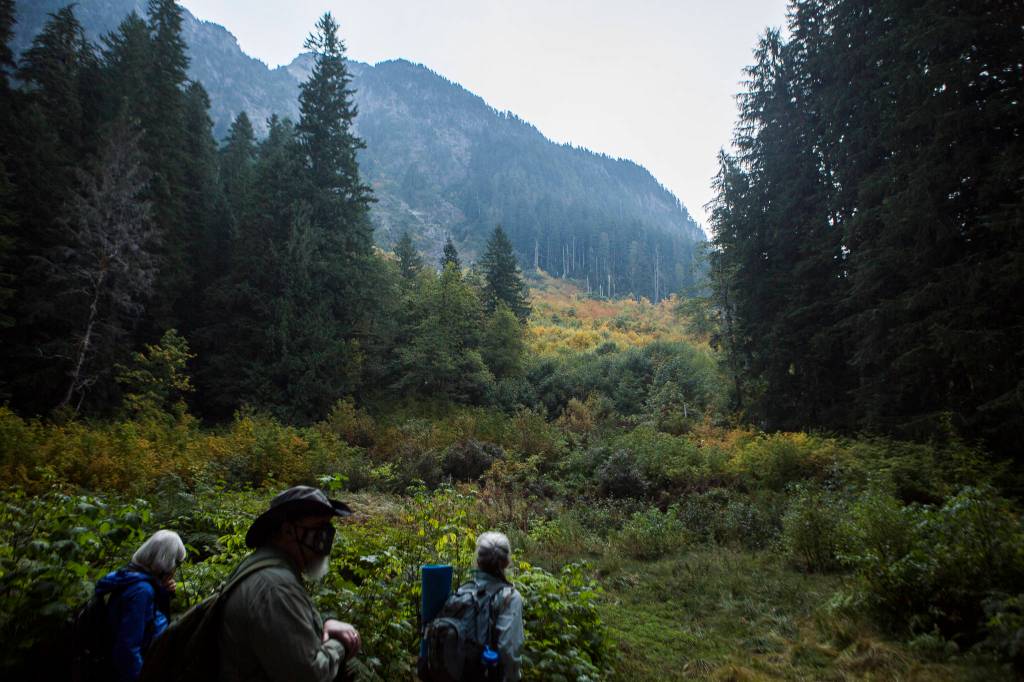 A clearing along the access road in October 2020. (Olivia Vanni / Herald file)