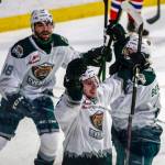 The Silvertips Ethan Regnier (bottom) celebrates a goal against the Chiefs during the final home game of this past season on May 7, 20201, at Angel of the Winds Arena in Everett. (Kevin Clark / The Herald)