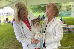 Hay Look Me Over, a Biewer terrier, with her handler, Molly Speckhardt, left, and owner Lynn McKee, of Lake Stevens. The 2-year-old terrier won a Westminster Kennel Club Dog Show ribbon for second, or next best, among the girls in her class. (Submitted photo)