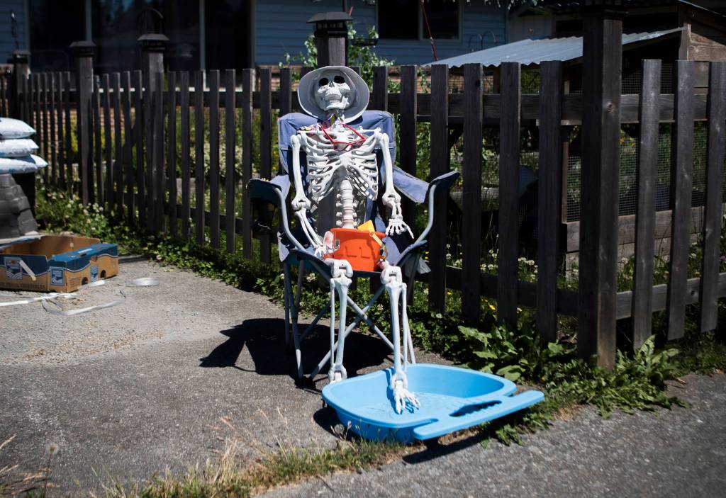 A plastic skeleton sits in a camping chair with its own plastic pool Saturday in the driveway of a home in Everett. During the heat wave temperatures reached 95 degrees on Saturday with a forecasted high of 103 degrees Monday. (Olivia Vanni / The Herald)