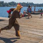 Why did the chicken jump in the lake? Because he lost a bet to a friend. Logan Root, 19, jumps into Lake Stevens with a chicken suit on at Davies Beach (formerly Willard Wyatt Park) on Tuesday, June 29, 2021 in Lake Stevens, Washington. (Andy Bronson / The Herald)