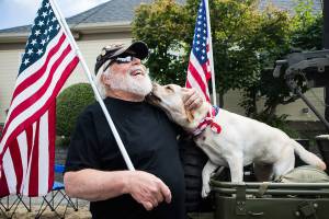 Bob Little, a Vietnam War veteran, receives a kiss from a labrador named Queso while waiting to walk in the "Edmonds Kind of 4th" parade with VFW Post 8870 on Sunday in Edmonds. (Olivia Vanni / The Herald)