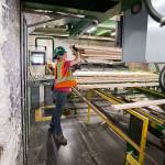 Jessica Ward runs a stacker at Hampton Mill in Darrington in 2019. (Andy Bronson / Herald file)
