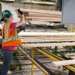 Jessica Ward runs a stacker at Hampton Mill on Thursday, Aug. 29, 2019 in Darrington, Wash. The mill is asking for more trees from Commissioner of Public Lands Hilary Franz. (Andy Bronson / The Herald)