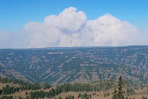 About 46,352 acres has burned in the Dry Gulch Fire in southeast Washington as of July 11. (InciWeb)