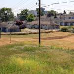 Bert Erickson Field at Wiggums Hollows Park in the Delta neighborhood of Everett. (Kevin Clark / The Herald)