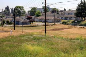Bert Erickson Field in the Delta Neighborhood in Everett.  (Kevin Clark / The Herald)