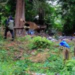 Detective Dave Bilyeu of the Snohomish County Sheriffs Office leaves the grave site of a John Doe near Mill Creek on July 20, 2021. The remains were found in September 2020, by a homeless man living in the greenbelt. (Kevin Clark / The Herald)