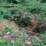 The shallow grave of the McCollum Park John Doe was found Sept. 26, 2020, by a transient living in a greenbelt in Mill Creek. (Kevin Clark / The Herald)