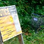 The greenbelt where the McCollum Park John Doe was found in a shallow grave is under notice for development. (Kevin Clark / The Herald)