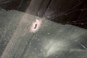 Shots were fired in the underground parking garage at the AMC theater at Alderwood Mall on Monday night. (Lynnwood Police Department)